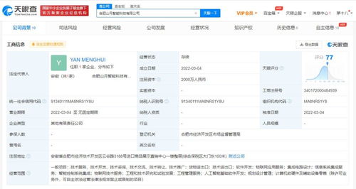 信息系统集成服务 构建数字化未来的关键基石